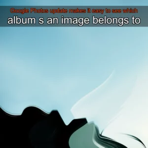 Read more about the article Google Photos update makes it easy to see which album  s  an image belongs to