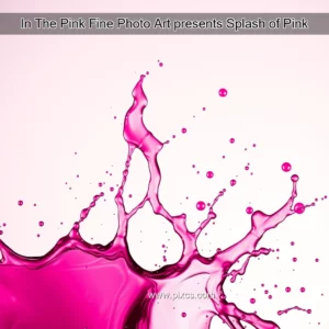 Read more about the article In The Pink Fine Photo Art presents Splash of Pink