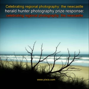 Read more about the article Celebrating regional photography: the newcastle herald hunter photography prize


 response: celebrating regional photography: the newcastle herald hunter photography prize!