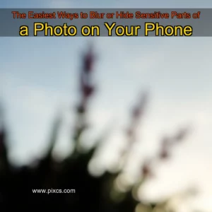 Read more about the article The Easiest Ways to Blur or Hide Sensitive Parts of a Photo on Your Phone