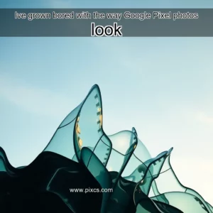 Read more about the article Ive grown bored with the way Google Pixel photos look