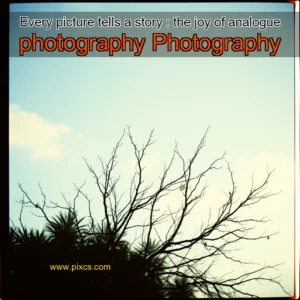 Read more about the article Every picture tells a story : the joy of analogue photography  Photography
