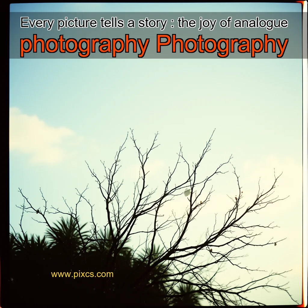 Read more about the article Every picture tells a story : the joy of analogue photography  Photography