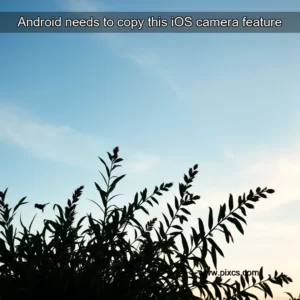Read more about the article Android needs to copy this iOS camera feature